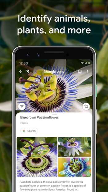 Google Lens Get for Android