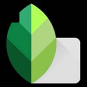Logo Snapseed APK